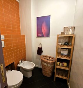 bagno di casa in affitto torino via palmieri