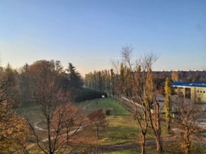 vista parco di casa in vendita nichelino, torino